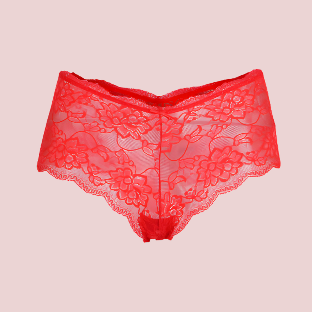PureCharm Lace Full-Cover Panty – 2-Pack
