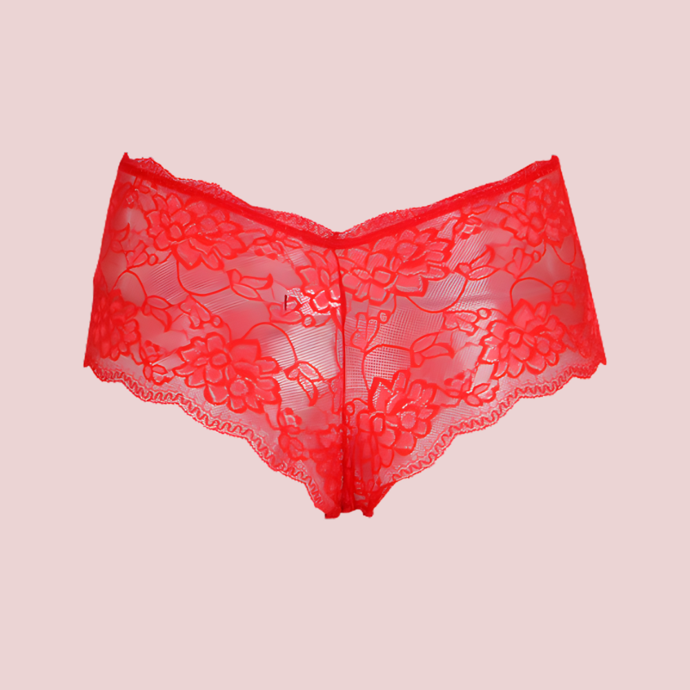 PureCharm Lace Full-Cover Panty – 2-Pack
